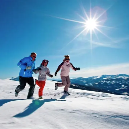 Chalet Murau Chalet 12