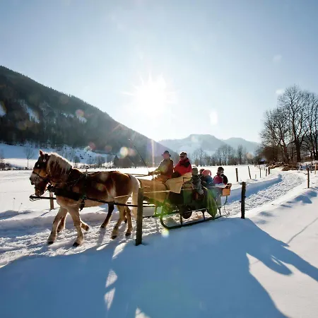 Chalet Murau Chalet 12 *